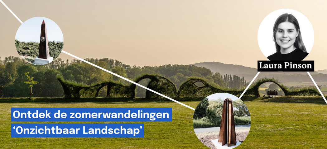 Laura Pinson: Onzichtbaar Landschap